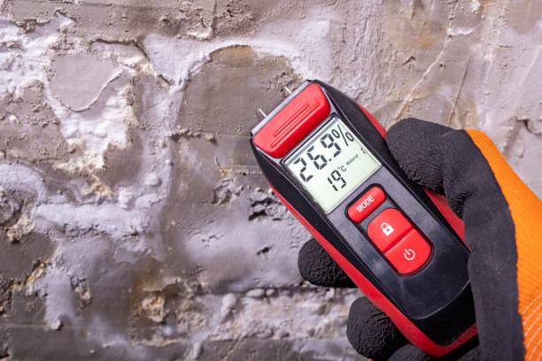 Best Attic Mold Remediation in Valley Forge, TN